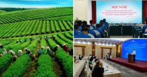 Tổ chức kinh doanh ở miền núi hoặc các ngành nghề đặc biệt